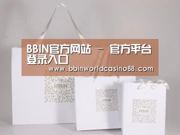 项目名称十一