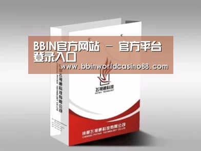 项目名称十三