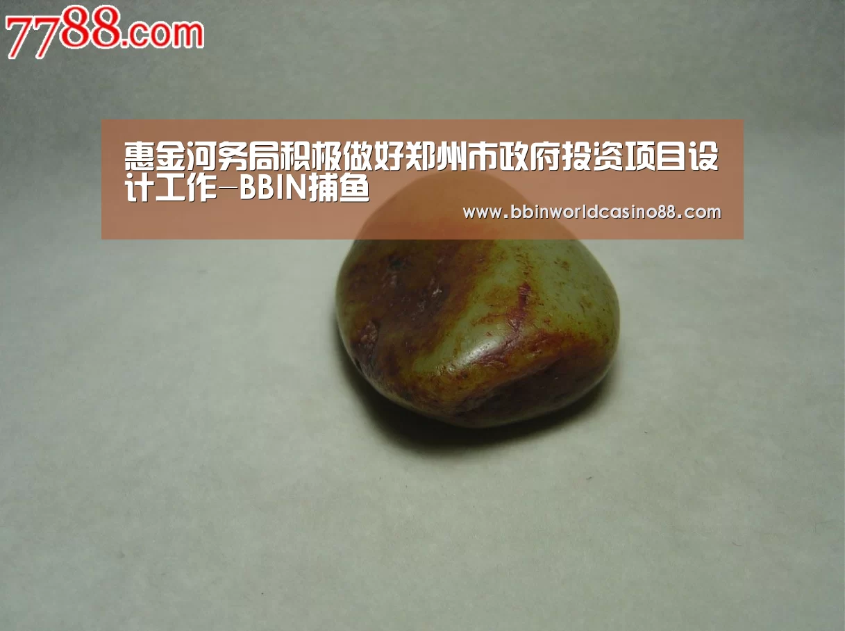 惠金河务局积极做好郑州市政府投资项目设计工作-BBIN捕鱼(图2) BBIN百家乐