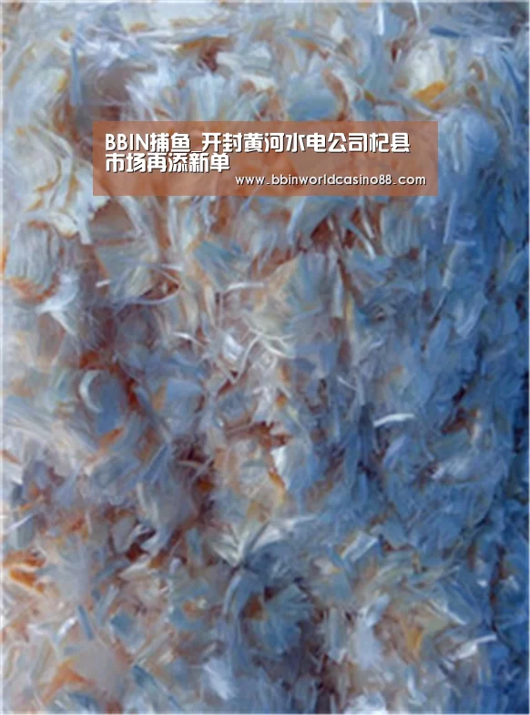 BBIN入口