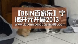 BBIN竞猜