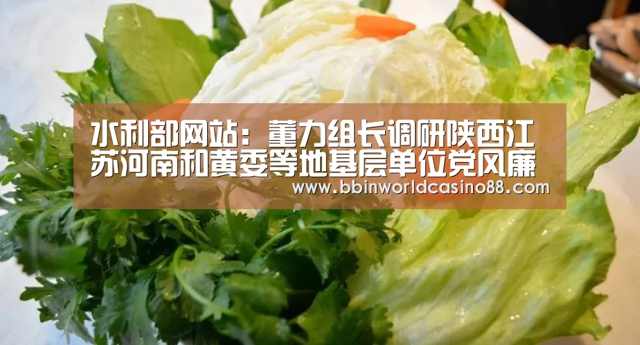 水利部网站:董力组长调研陕西江苏河南和黄委等地基层单位党风廉政建设_BBIN百家乐(图1) BBIN竞猜