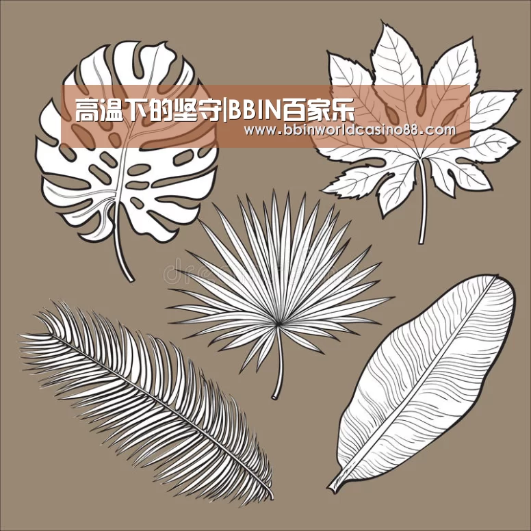 高温下的坚守|BBIN百家乐(图4) BBIN捕鱼